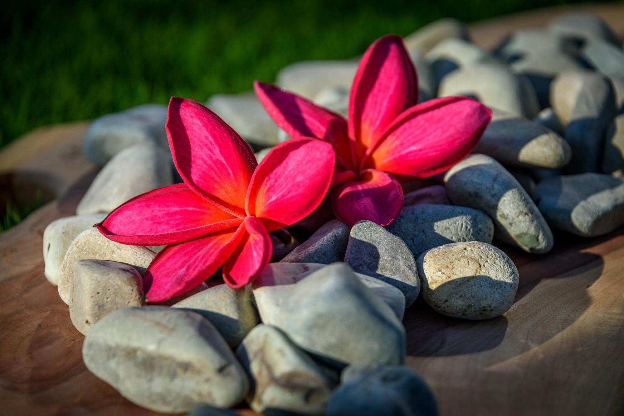 Private Villas Of Bali Nusa Dua  Rum bild
